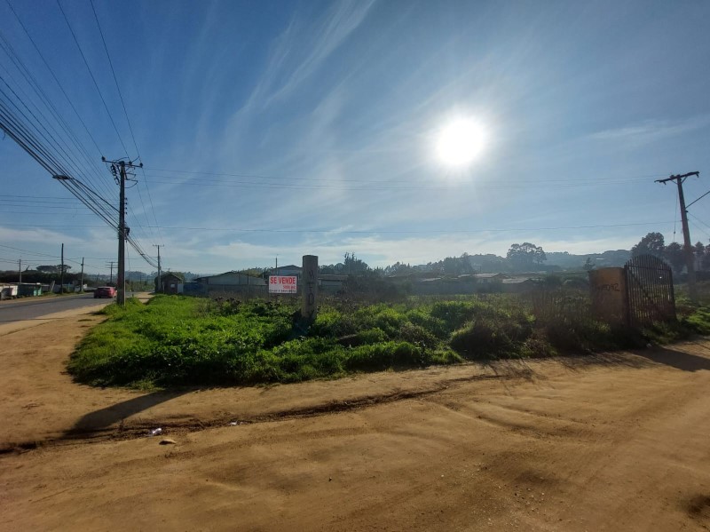 EL TABO...&nbsp; &nbsp; &nbsp; &nbsp; &nbsp; &nbsp; &nbsp; &nbsp; &nbsp; &nbsp; &nbsp; &nbsp; &nbsp; &nbsp; &nbsp; &nbsp; &nbsp; &nbsp; &nbsp; &nbsp; &nbsp; &nbsp; &nbsp; &nbsp; &nbsp; &nbsp; &nbsp; &nbsp; &nbsp; &nbsp; &nbsp; &nbsp; &nbsp; &nbsp; &nbsp; &nbsp; &nbsp; &nbsp; &nbsp; &nbsp; &nbsp; &nbsp; &nbsp; 