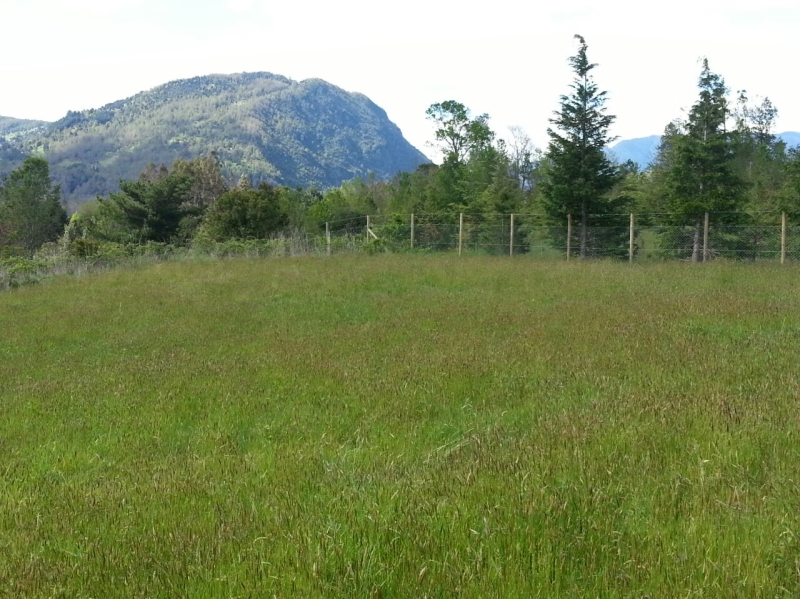 TERRENO PUCON